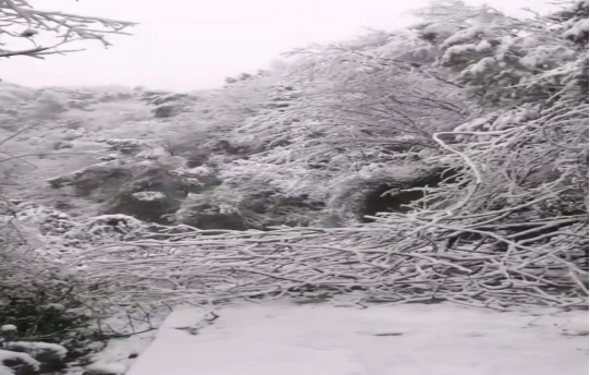 战暴雪、保供电！江南网页版_江南(中国)官方鸟儿巢江南网页版_江南(中国)官方应对极端天气紧急抢修失电故障