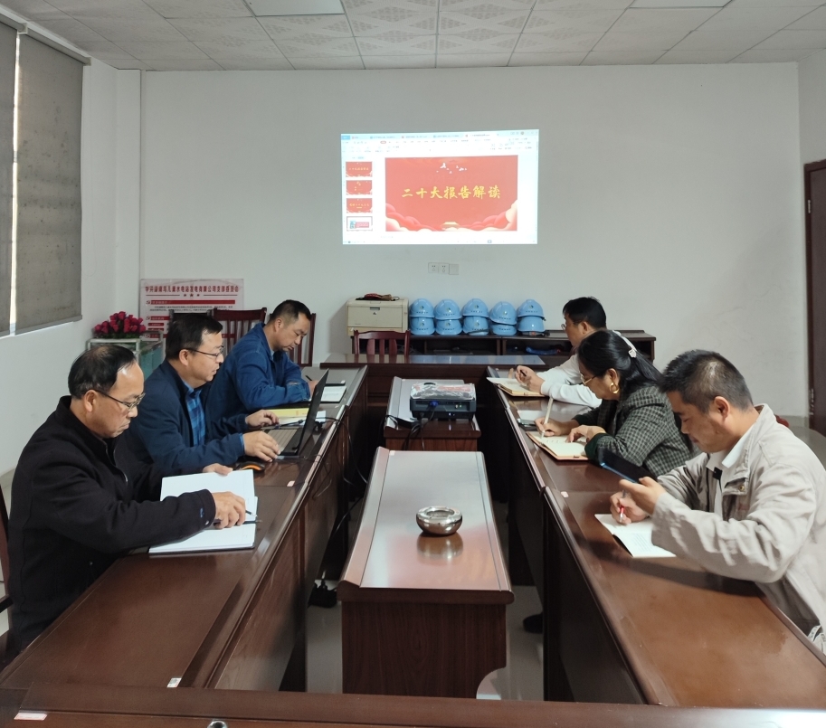 鸟儿巢江南网页版_江南(中国)官方党支部开展“一课一片一实践”主题党日活动